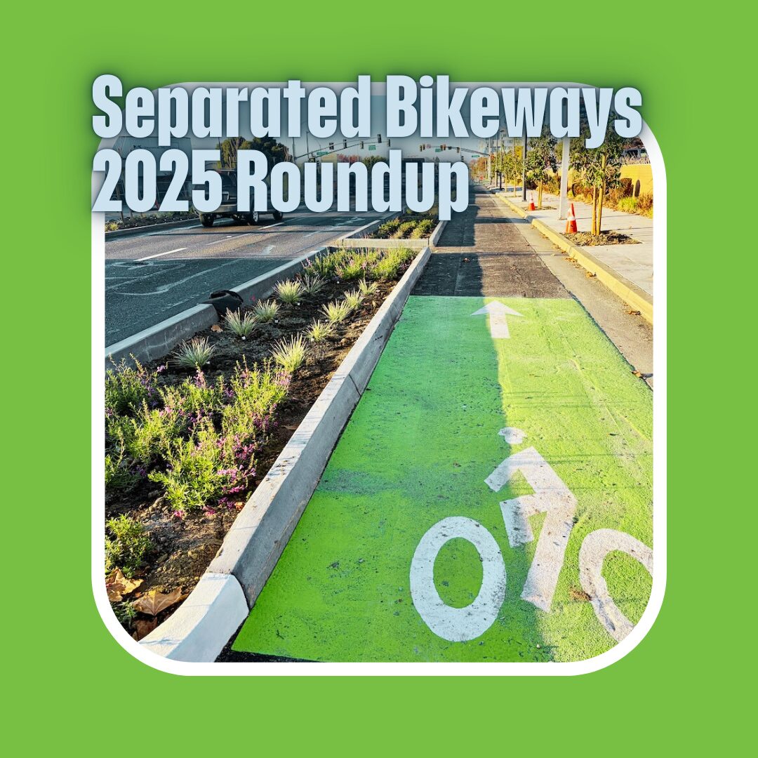 "Separated Bikeways 2025 Roundup" Photo of a wide curbside bikeway protected by a landscaped area with shrubs